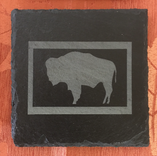 Square Wyoming Slate Coaster Set of 6