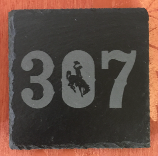 Square Wyoming Slate Coaster Set of 6