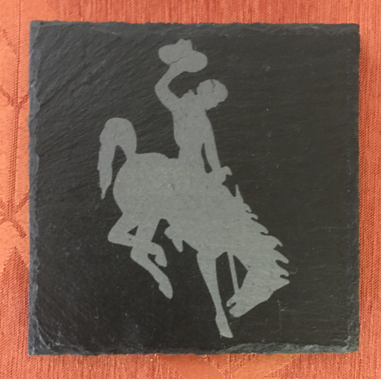 Square Wyoming Slate Coaster Set of 6