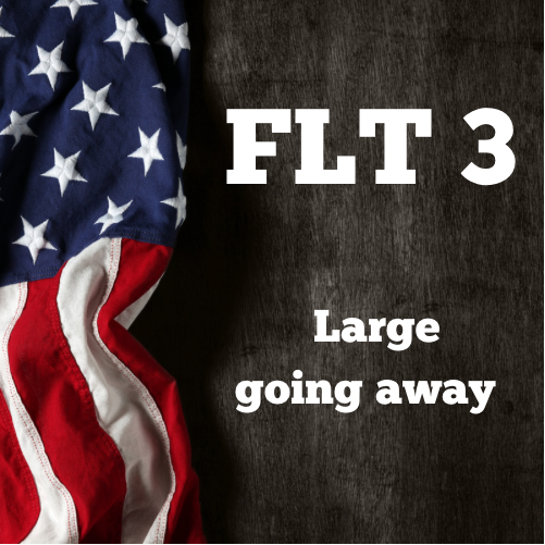 Flt 3 large going away