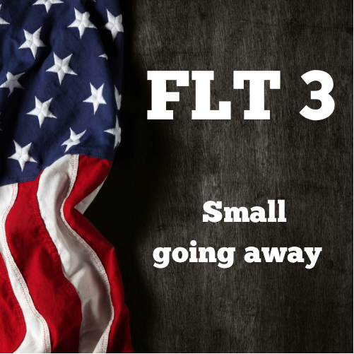 Flt 3 small going away