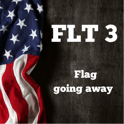 Flt 3 flag going away