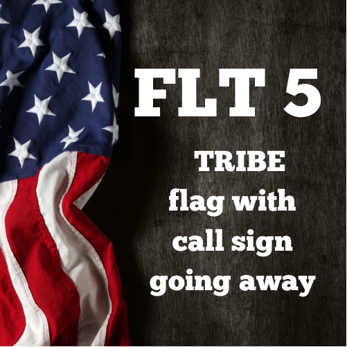 Flt 5 tribe flag with call sign going away